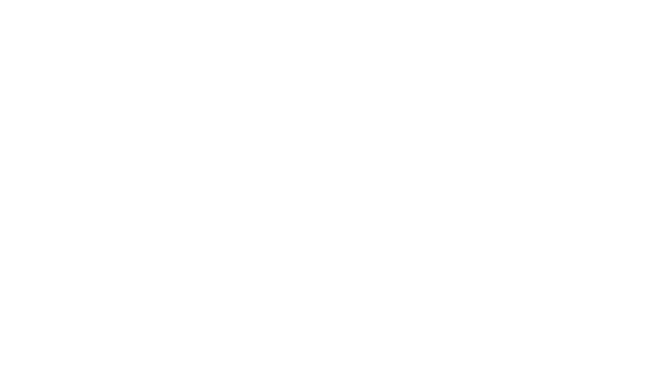 Finding Hubby logo