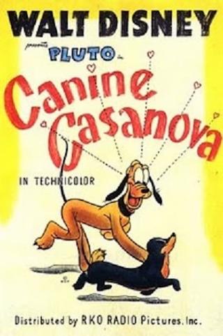 Canine Casanova poster
