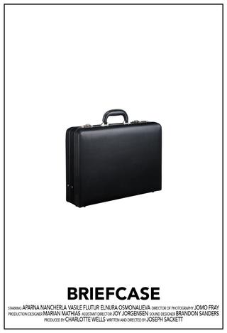 Briefcase poster