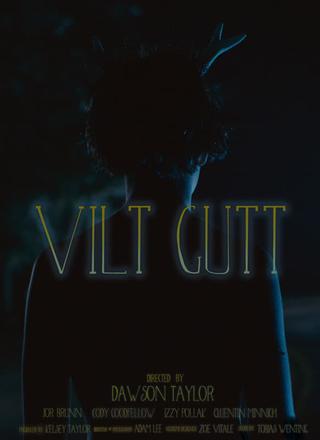 Vilt Gutt poster