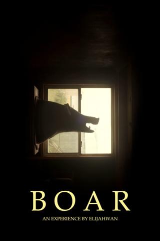 B O A R poster