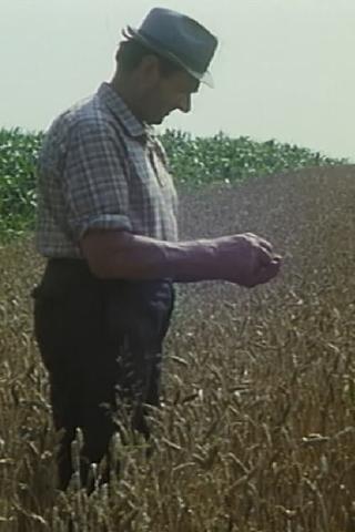 Mikolaš Farmer Worker's First Holidays poster