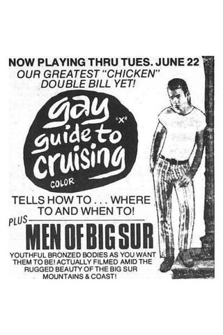 Gay Guide to Cruising poster