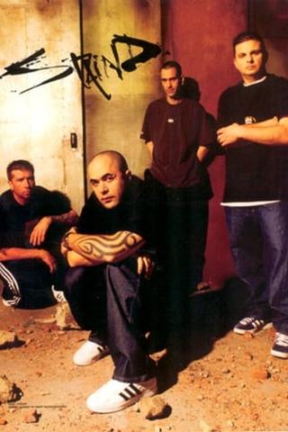Staind pic