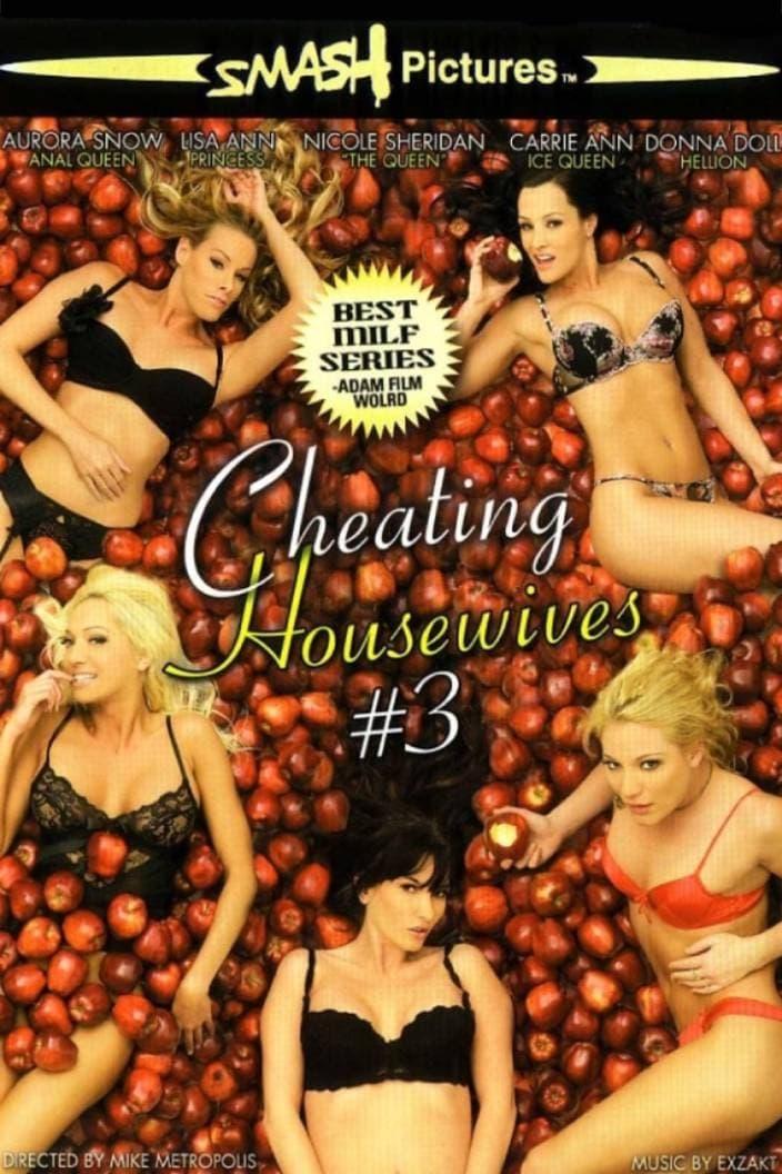 Cheating Housewives 3 poster