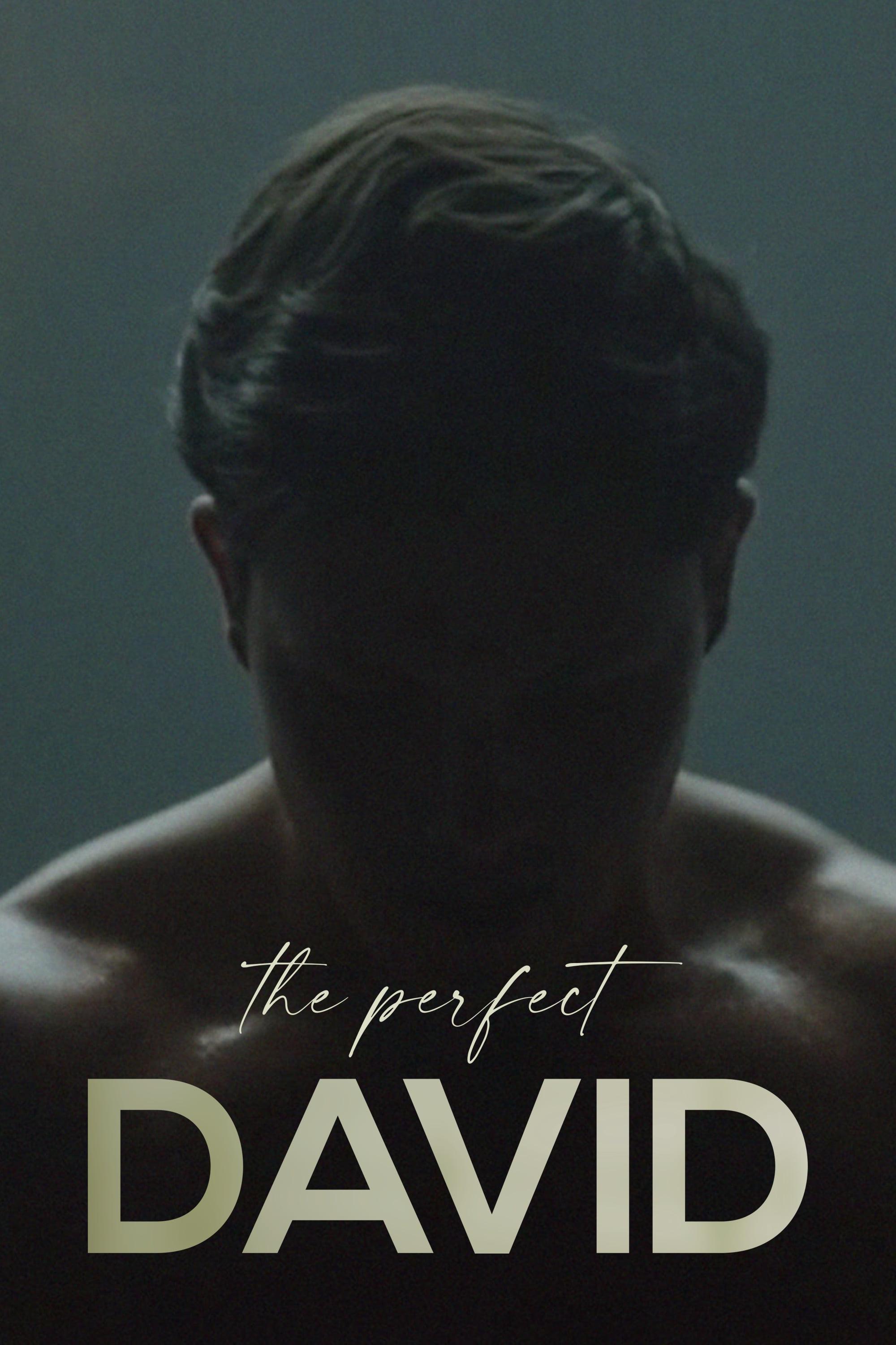 The Perfect David poster