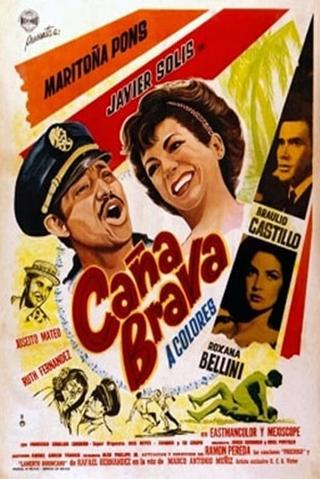 Caña brava poster