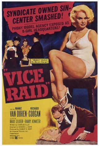 Vice Raid poster