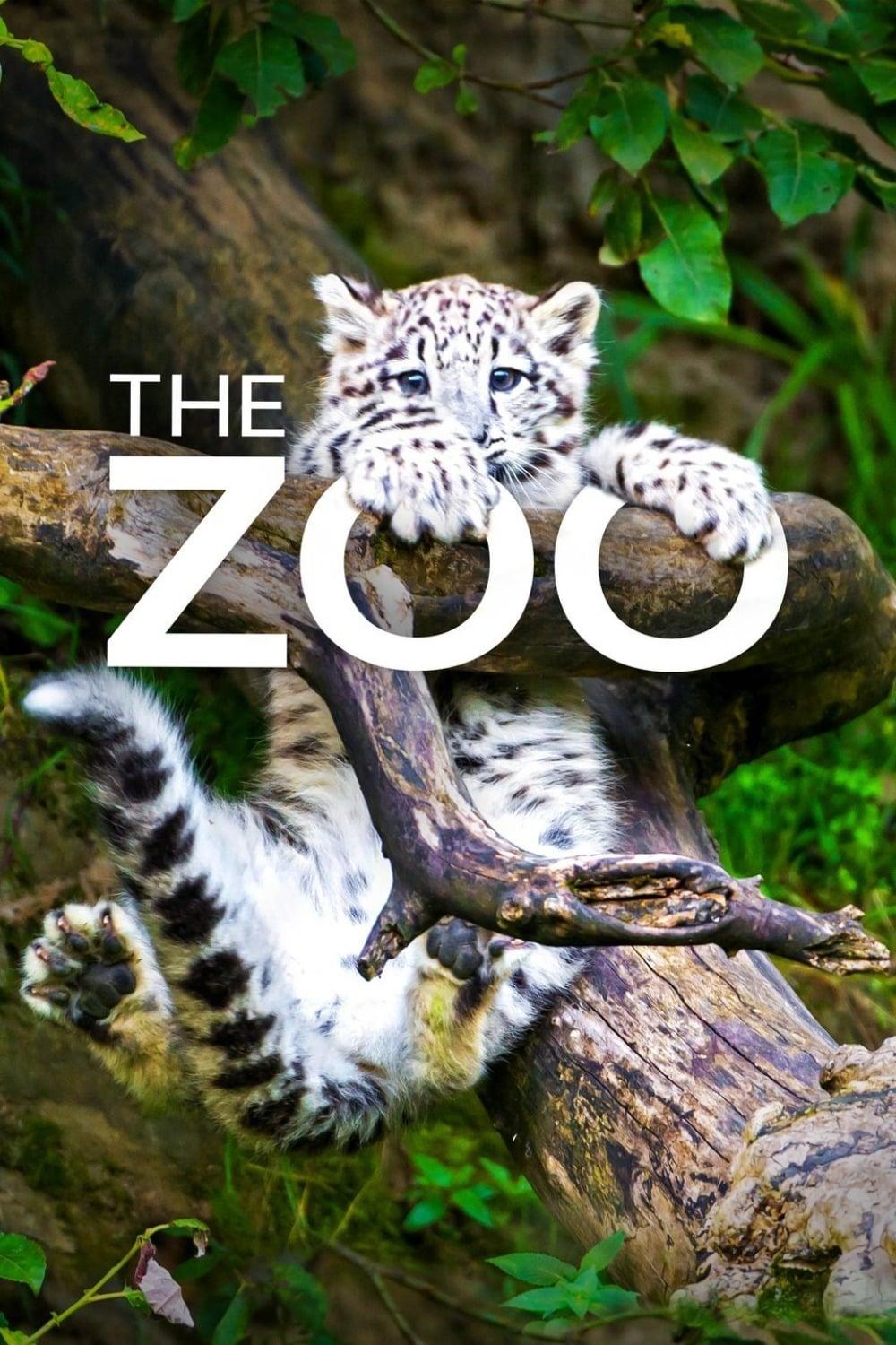 The Zoo poster