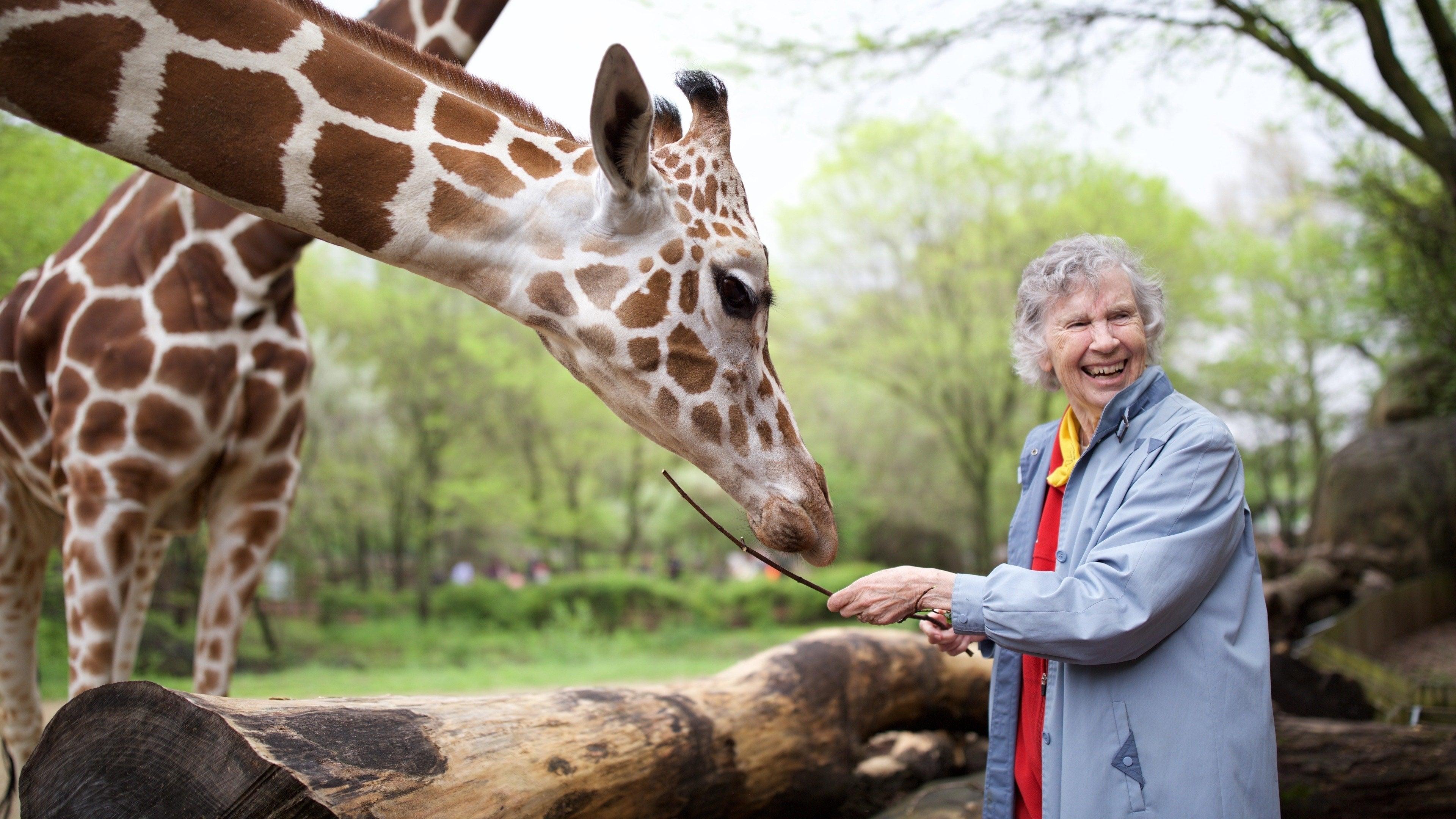 The Woman Who Loves Giraffes backdrop