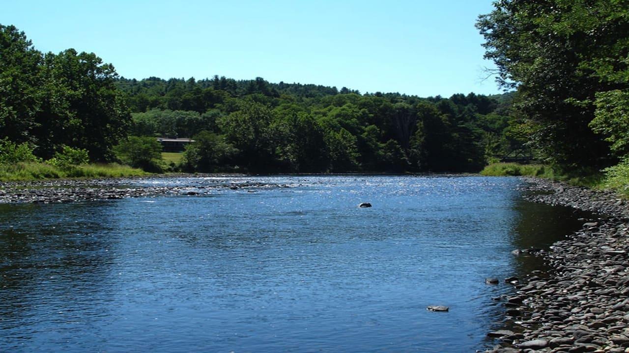 A River Somewhere backdrop