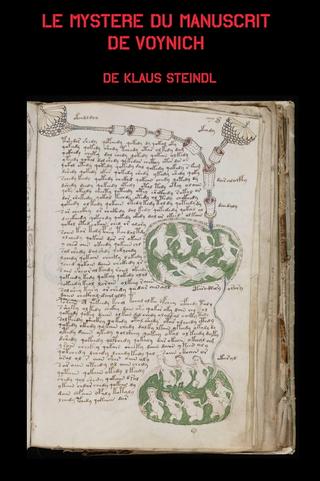 The Voynich Code: The World's Most Mysterious Manuscript poster