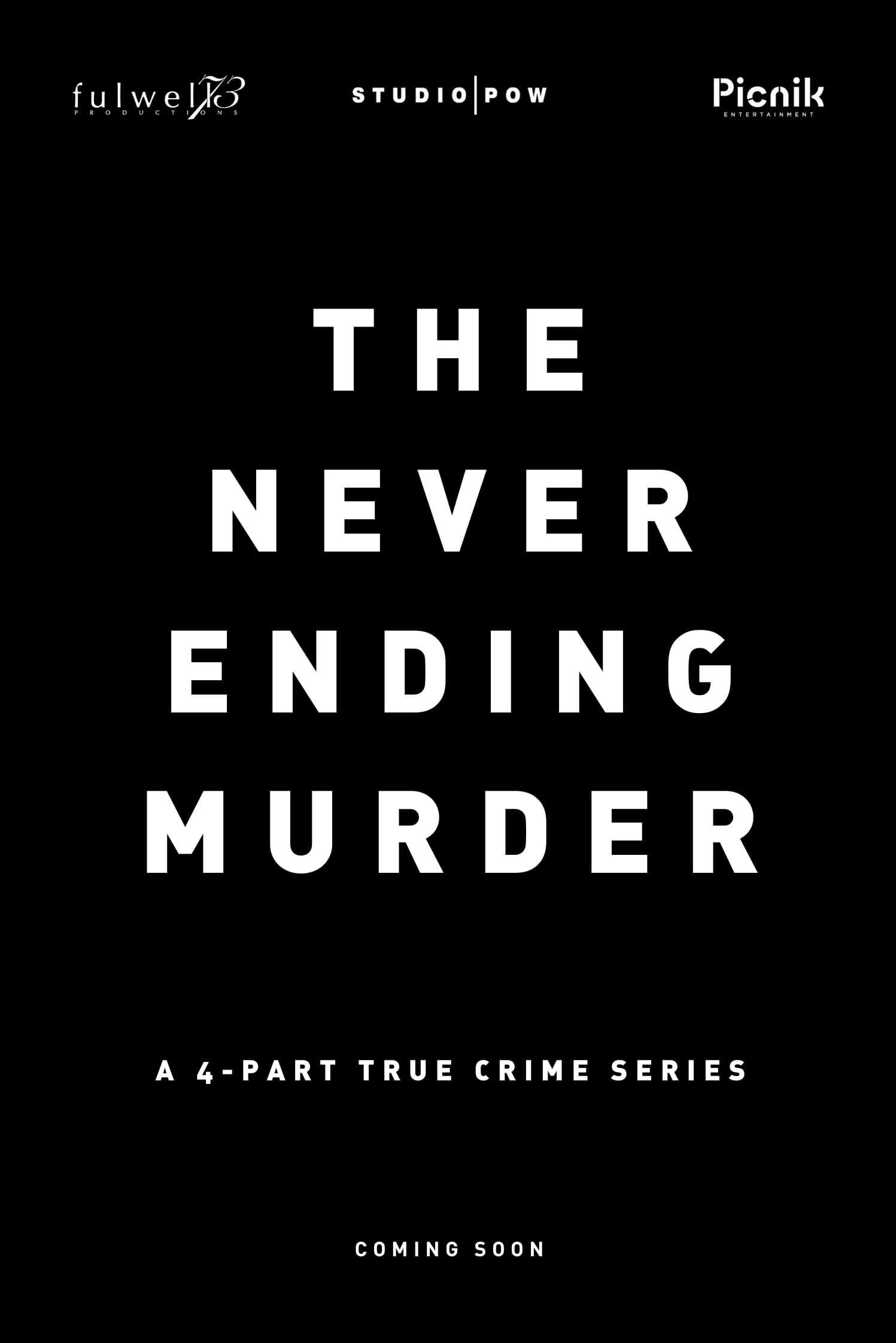 The Never Ending Murder poster