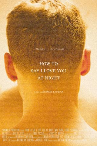 How to Say I Love You at Night poster