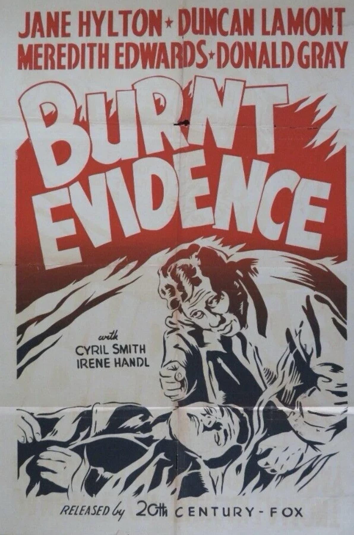 Burnt Evidence poster