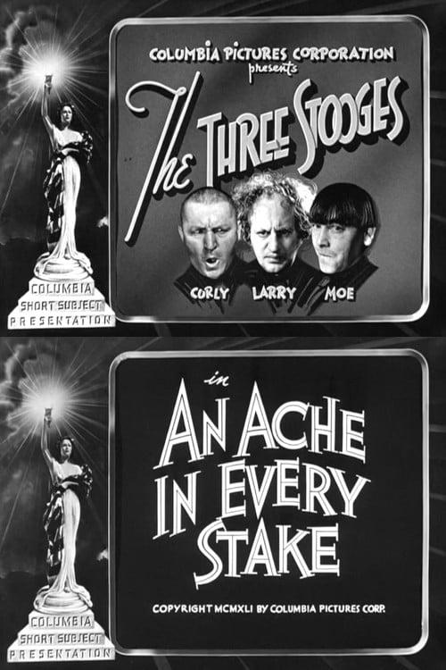 An Ache in Every Stake poster