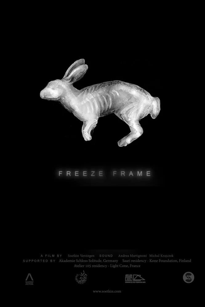 Freeze Frame poster