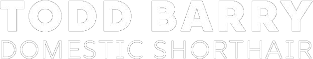 Todd Barry: Domestic Shorthair logo