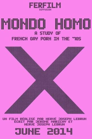 Mondo Homo: A Study of French Gay Porn in the '70s poster
