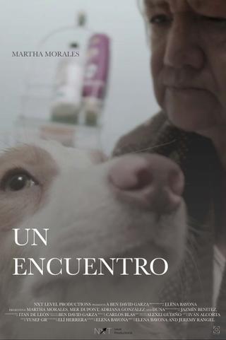 Un Encuentro poster