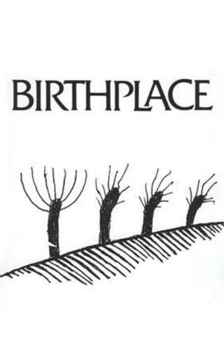 Birthplace poster