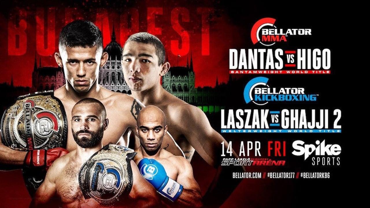 Bellator 177: Dantas vs Higo backdrop