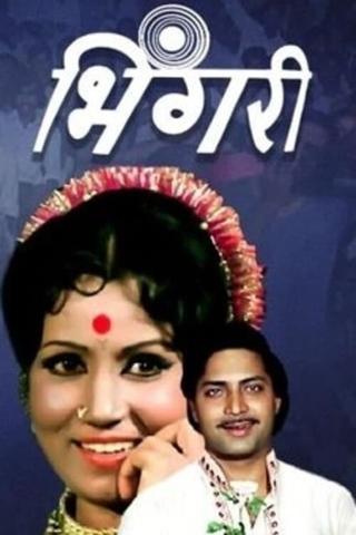 Bhingari poster