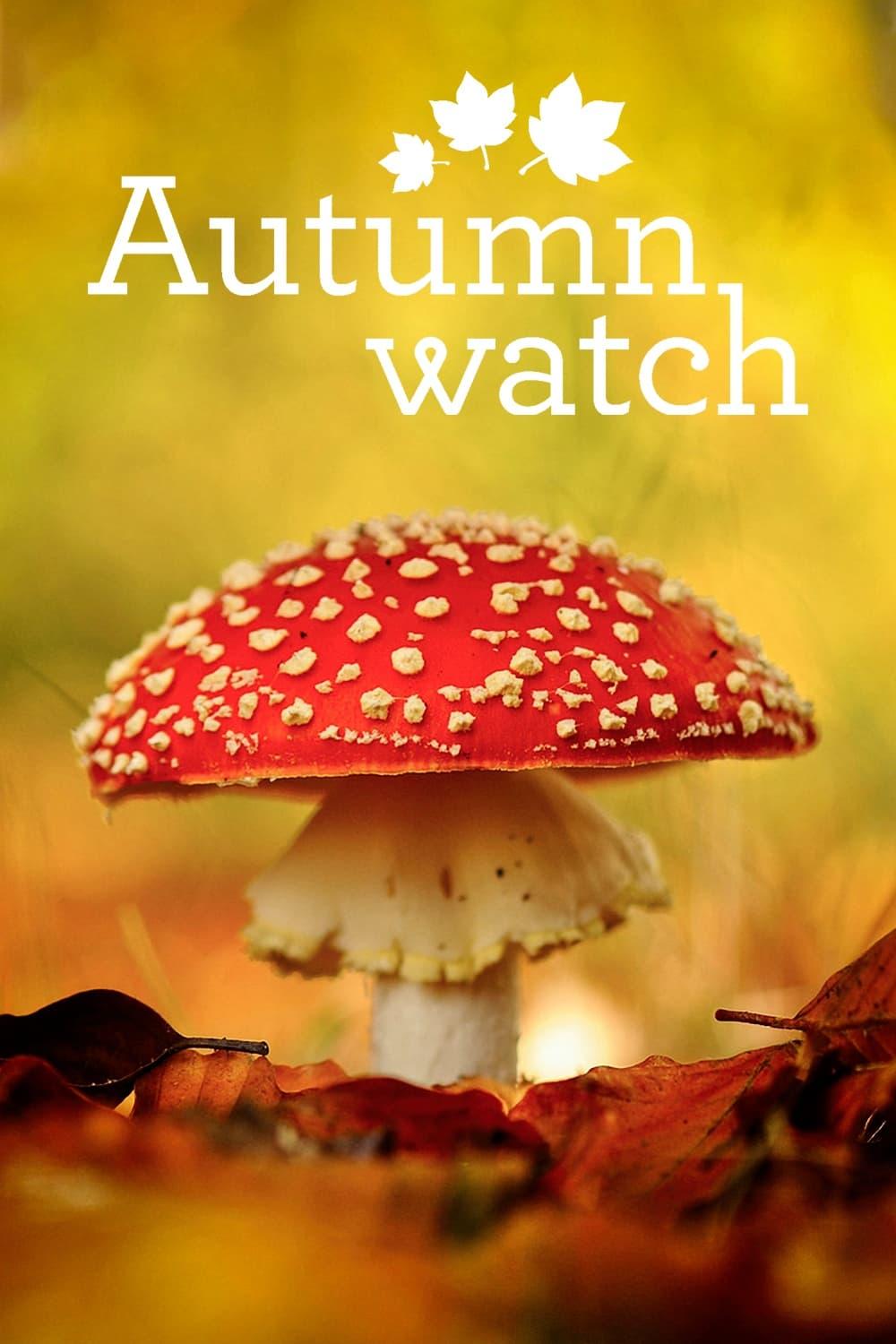 Autumnwatch poster