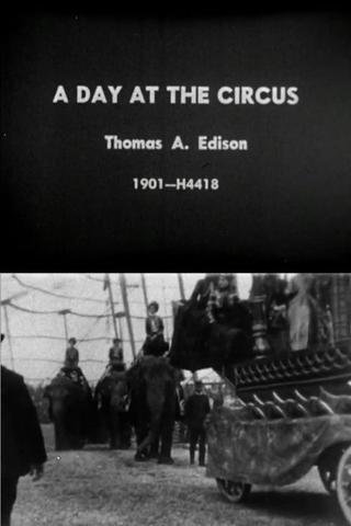 Day at the Circus poster