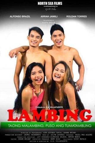 Lambing poster