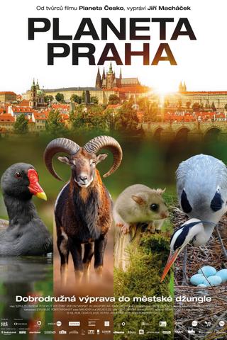 Wild Prague poster