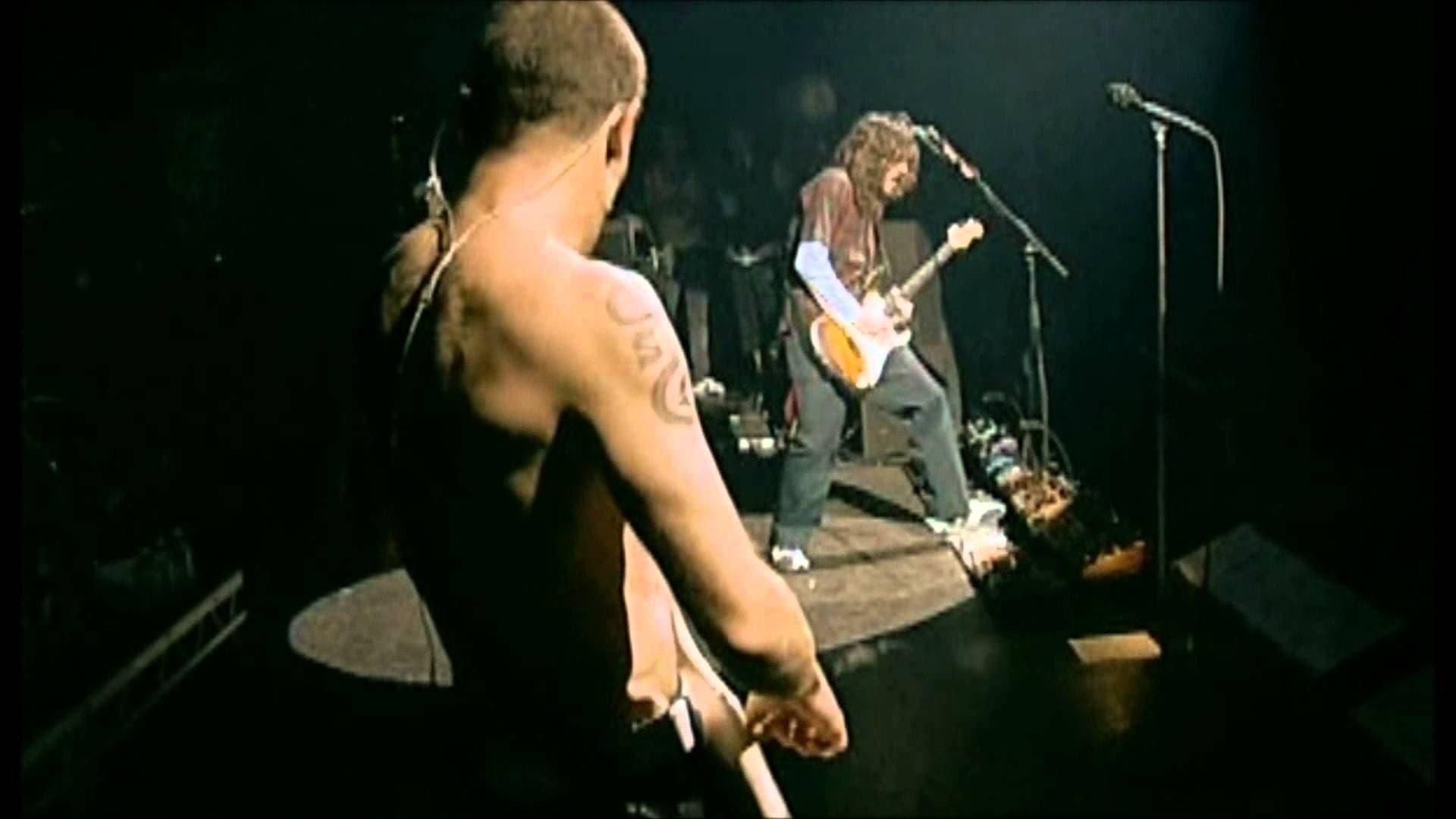 Red Hot Chili Peppers : Live at La Cigale backdrop