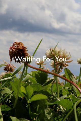 Waiting For You poster