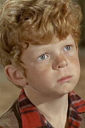 Johnny Whitaker poster