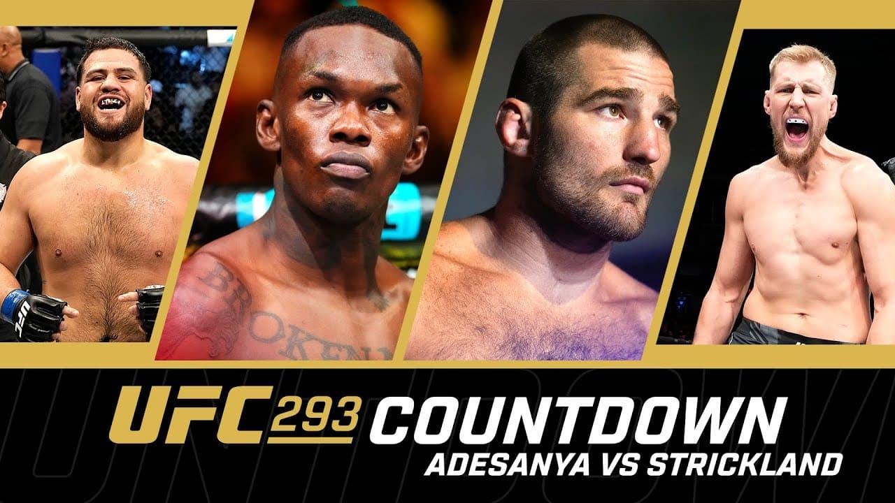 UFC 293 Countdown backdrop