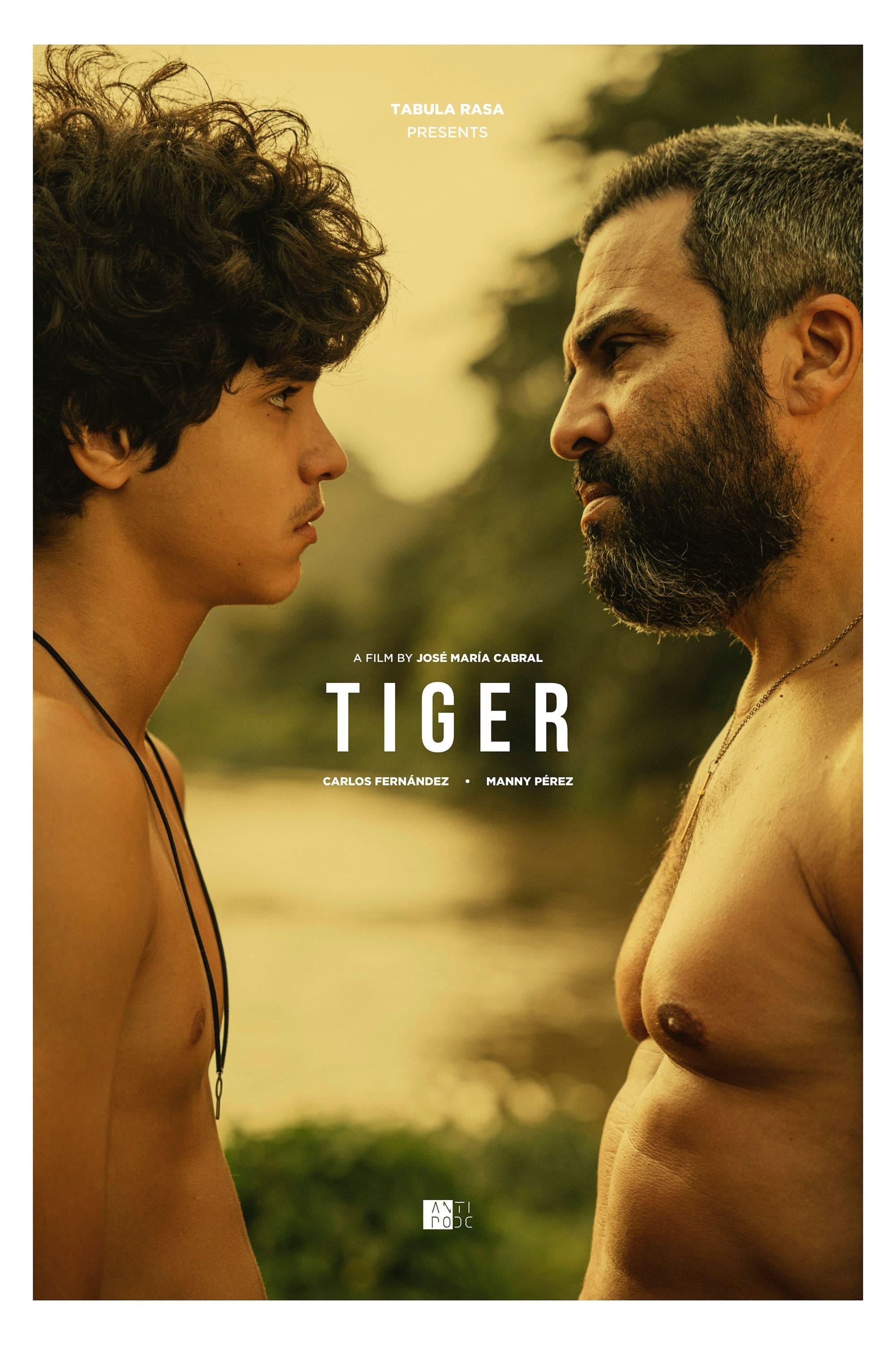 Tiger poster