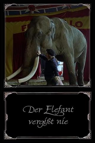 The Elephant Never Forgets poster