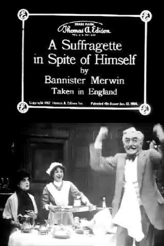 A Suffragette in Spite of Himself poster