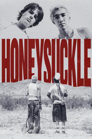 Honeysuckle poster