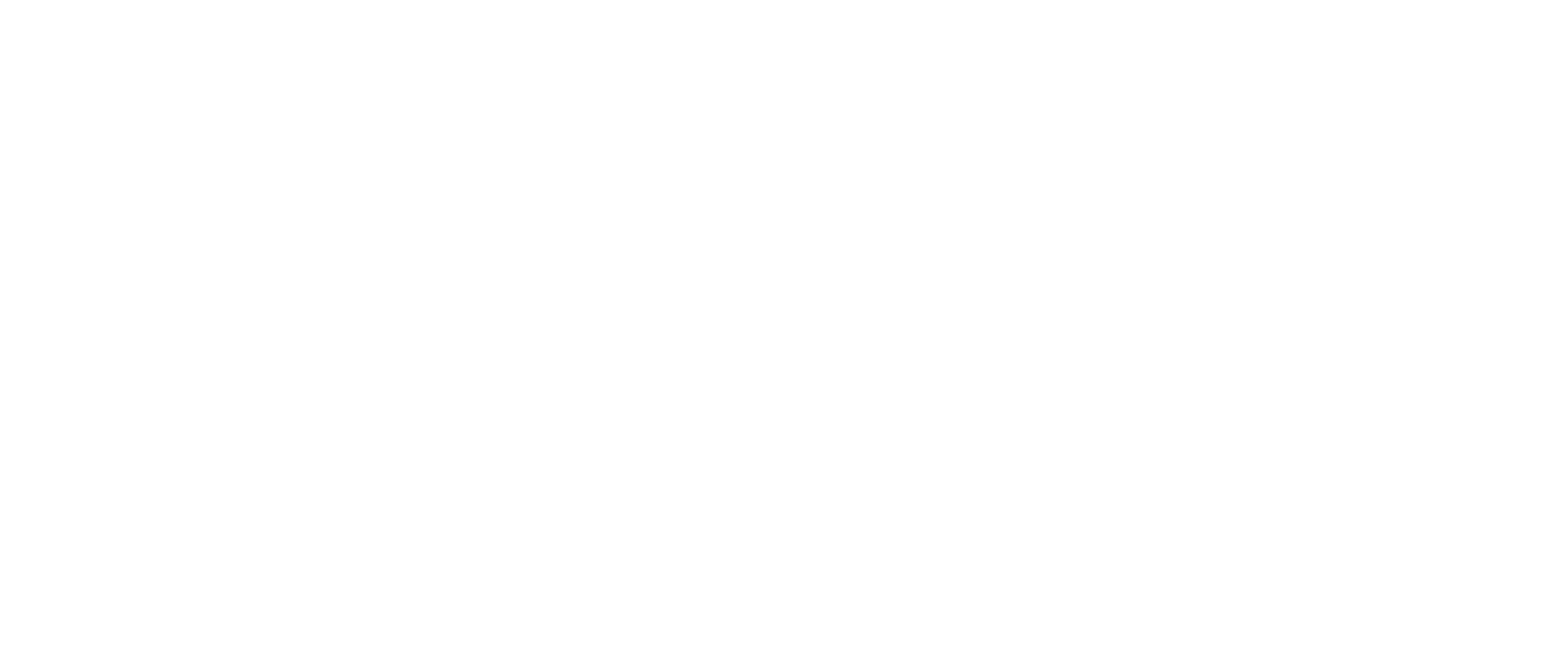 The Accidental President logo