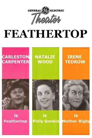 Feathertop poster