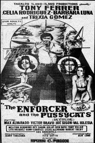 The Enforcer and the Pussycats poster