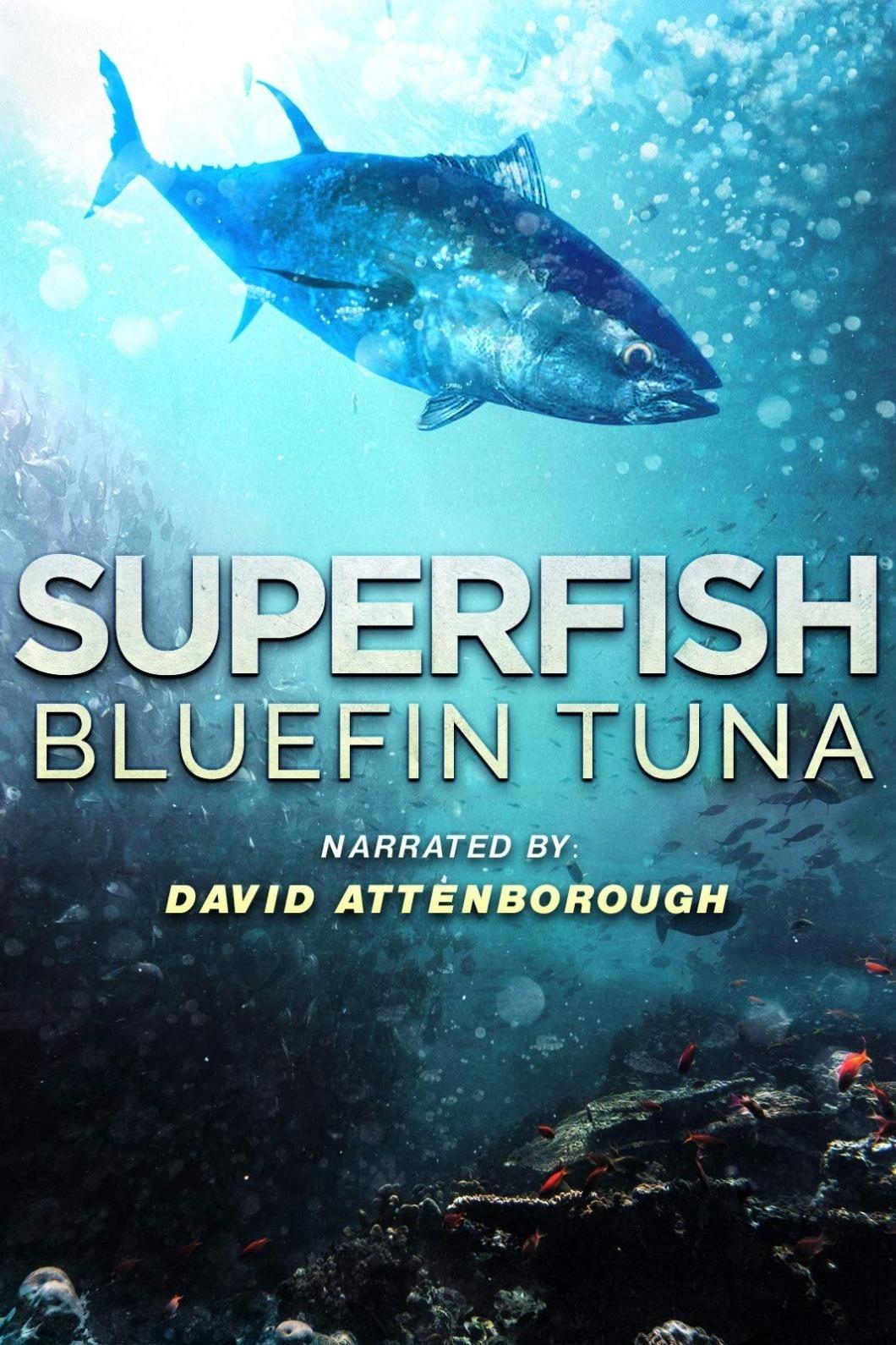 Superfish: Bluefin Tuna poster