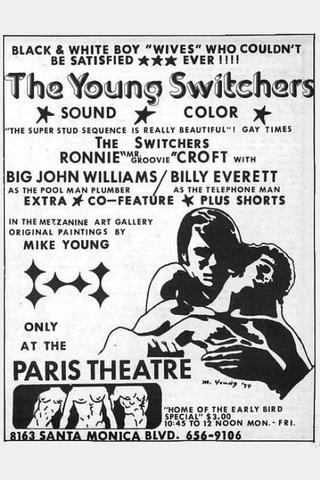 Young Switchers poster