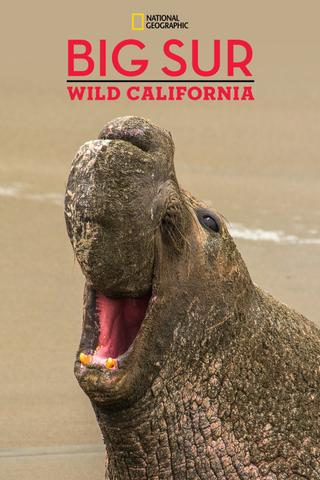 Big Sur-Wild California poster