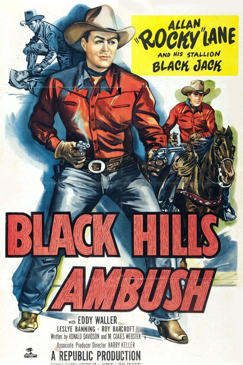 Black Hills Ambush poster