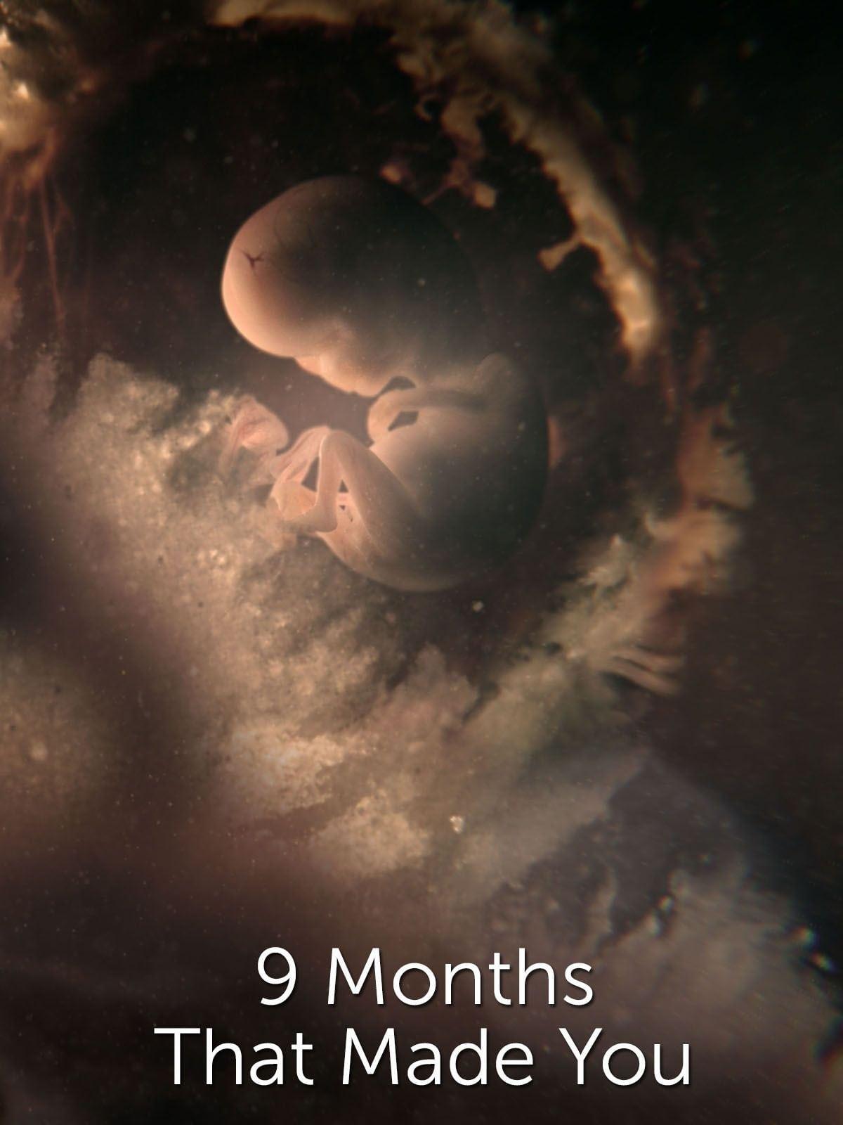 9 Months That Made You poster