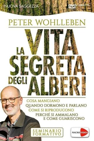 La vita segreta degli alberi poster