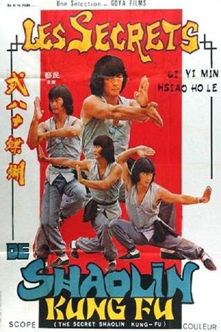 The Secret Shaolin Kung-Fu poster