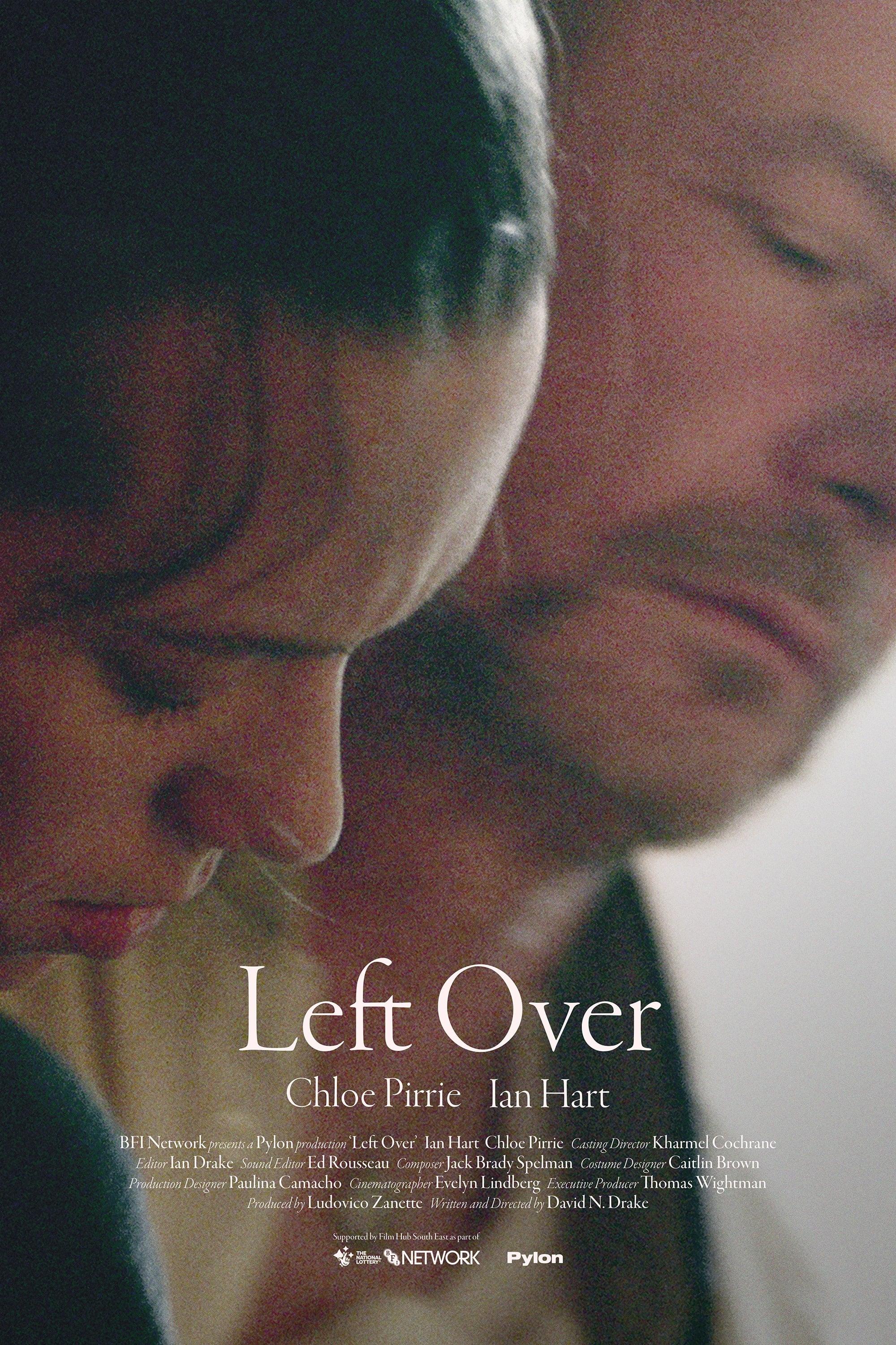 Left Over poster